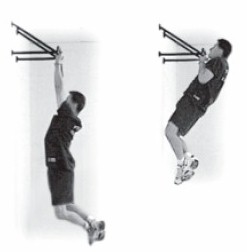 4.- Chin ups
