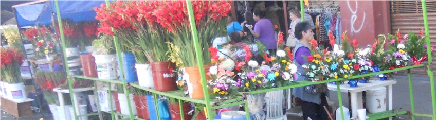 Flores y Ofrendas Mercado Municipal - foto 1