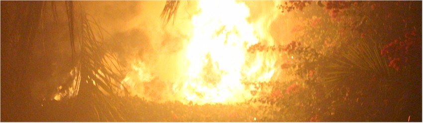 Incendio Durango entre Nainari y Allende foto 2