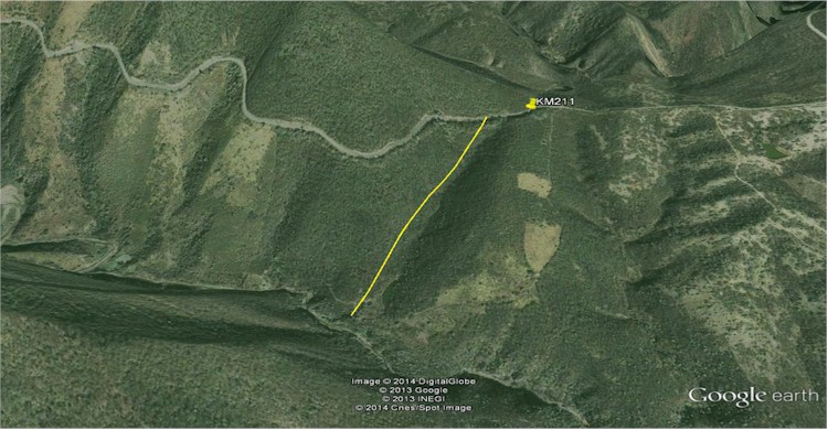Mapa del lugar del accidente carretera Tepoca - Yecora