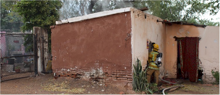 Quintana Roo y Cananea - Foto 2