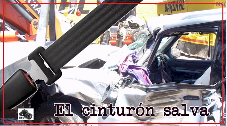 El cinturn salva: salo !!!