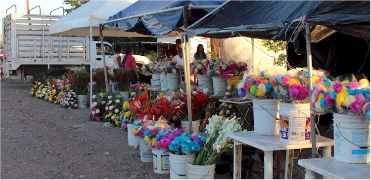 Floristas instaladas a la vera del camino