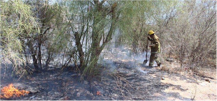 Incendios de basura y pasto seco -