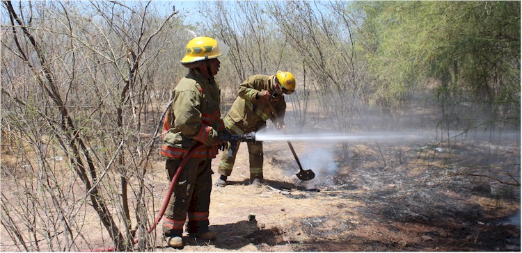 Incendios de basura y pasto seco - Foto 4