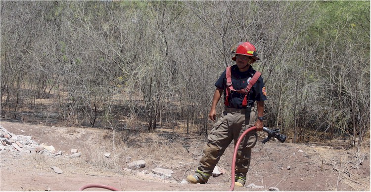 Incendios de basura y pasto seco - Capitn Fernando Zamora - Foto 5