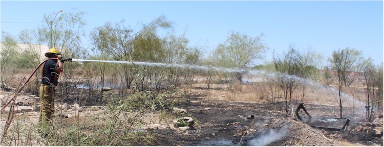 Incendios de basura y pasto seco - Foto 6