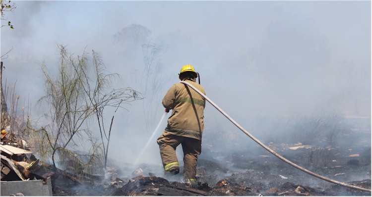 Incendio pasto y basura Cajeme y Quintana Roo - Foto 6