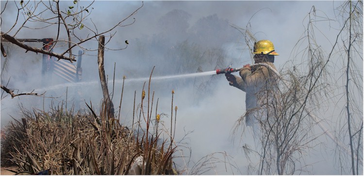 Incendio pasto y basura Cajeme y Quintana Roo - Foto 7